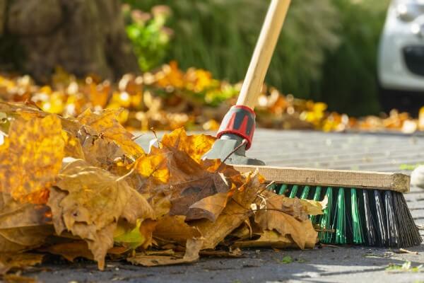 broom and autumn leaves